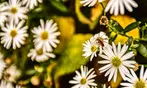 Foto-Webinar: Grundlagen der Fotografie