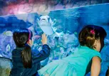 SEA LIFE Aquarium San Antonio Admission (Up to 50% Off)