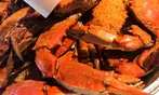Fresh Maryland Blue Crabs: Premium Seafood Delivered!