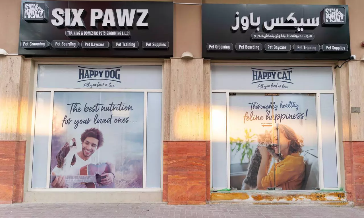 Pamper Cat or Small, Medium, Large or Extra Size Dog Full Pet Grooming