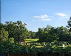 Wine Not? Taste the Essence of North Carolina on Wine Tasting!
