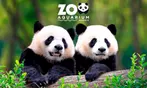 Zoo Aquarium de Madrid: una entrada para adulto, infantil o sénior