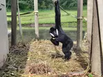 Drive-Thru Wildlife Safari Discount Tickets & Deals – Winston, Oregon