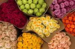 Rose Farmers All-In-One Deal: Farmer's Choice Roses with Vase & Shipping Included Up to 48% Off