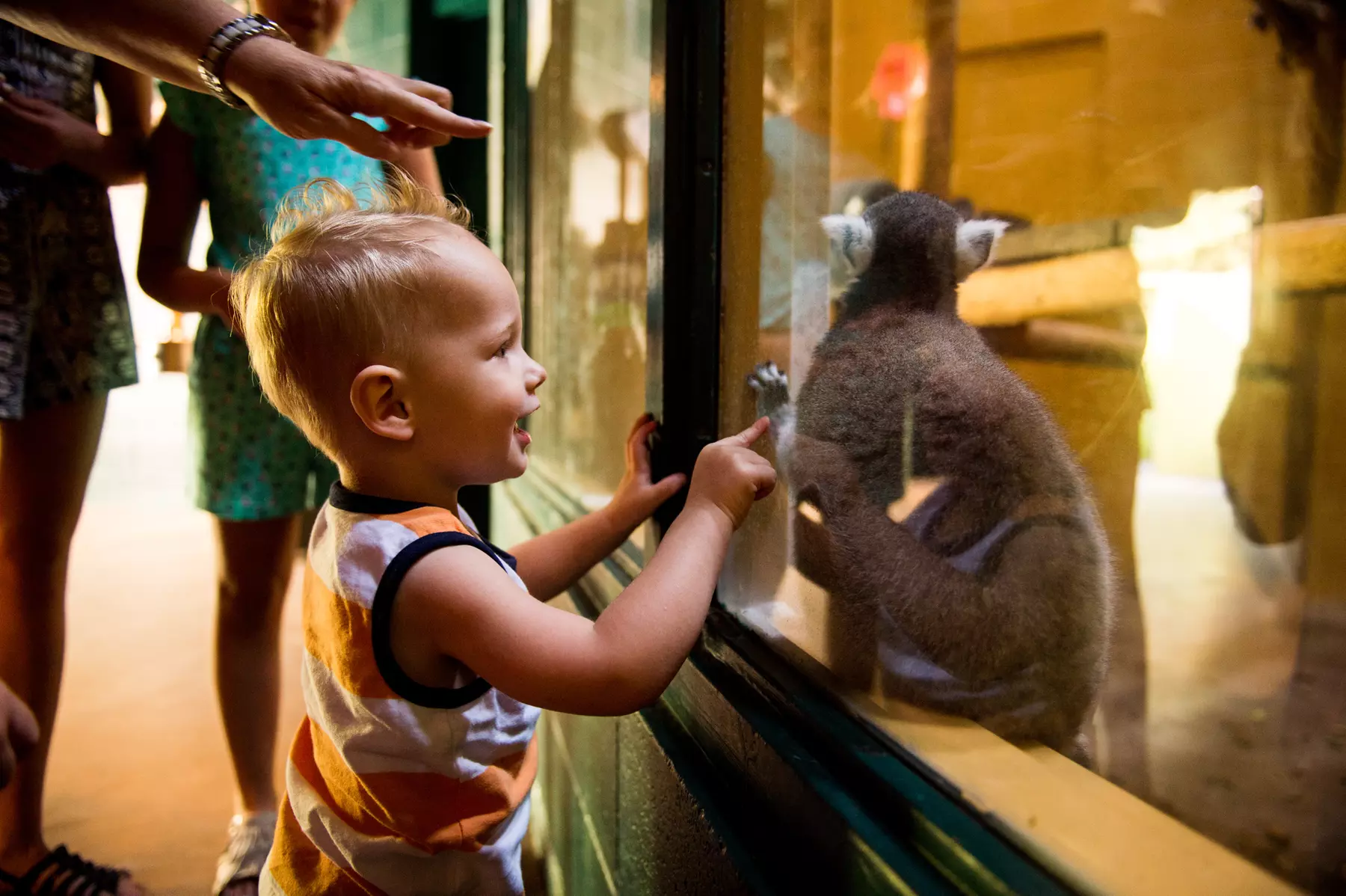 Admission to Idaho Falls Zoo – See Lions, Penguins & More