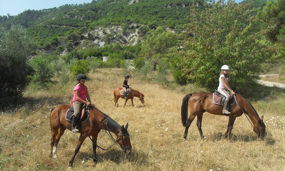 Jusqu'à 20% de remise sur Équitation - Loisir chez Horse Planet