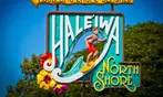 Oahu 16-Location Tour Deal with Snorkeling, Guide, Snacks & Beverages