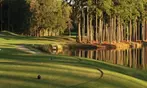 Up to 46% Off on Golf at The Emerald Golf Club