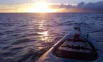 Up to 21% Off Olowalu Beach Kayak and Snorkel Turtle Reef Tour