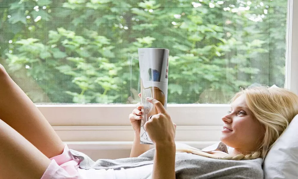 1x, 2x oder 4x Fenster-Moskitonetz