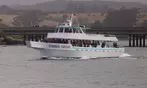 Book Now & Save 10% on Monterey Bay Whale Watching Tours