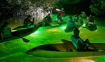 Glass Bottom Kayak LED Night Tour Deal - 75-Minute Fish Feeding Discount