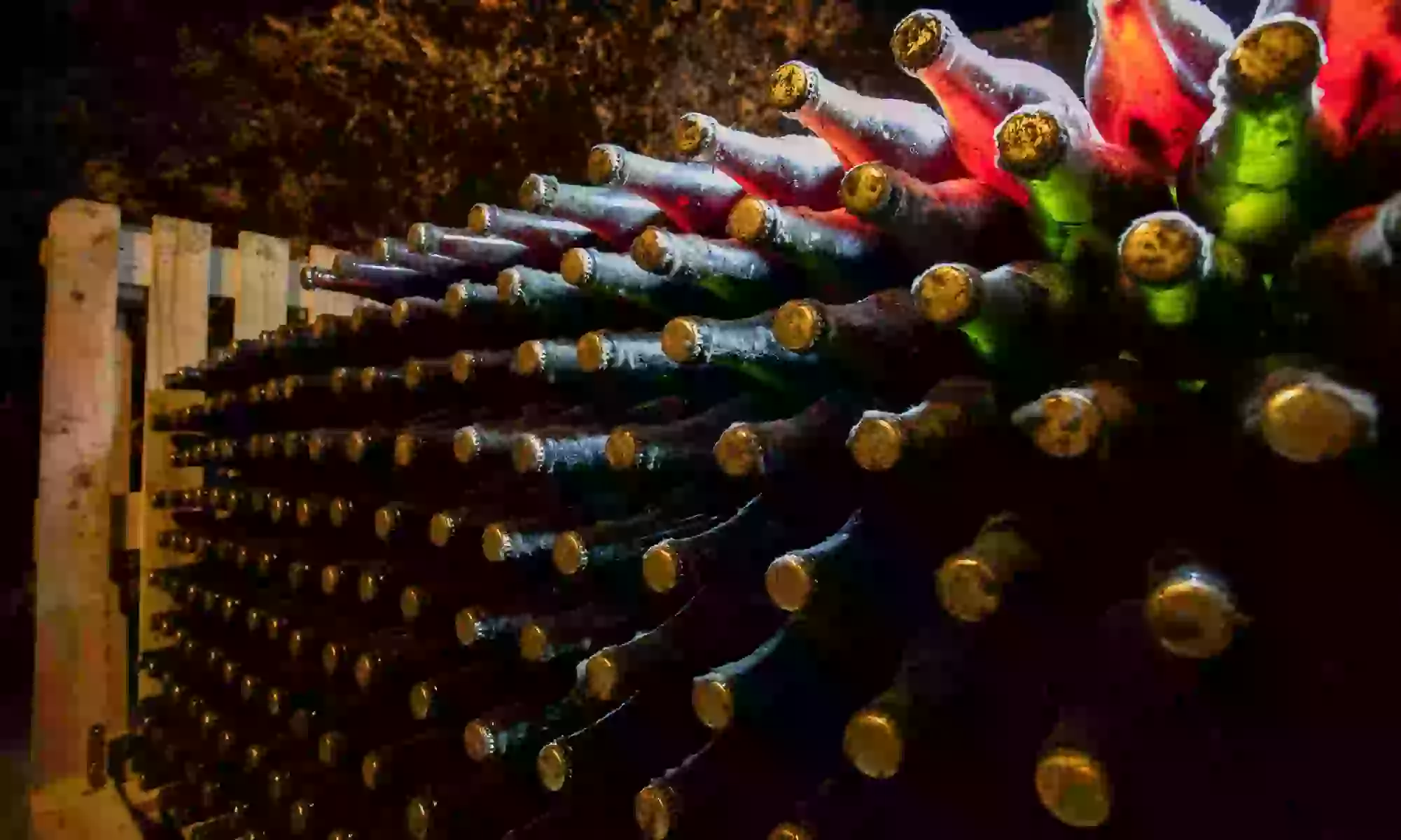 Visita guiada y cata de vinos en Bodegas Jesús Díaz e Hijos