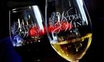 Award-Winning Wine Tasting Experience for 2 or 4 Guests