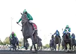 Horse Racing at Emerald Downs - Up to 41% Off