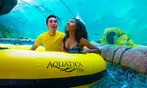 END OF SUMMER SALE! SeaWorld San Antonio Ticket Deals - Up to 57% Off