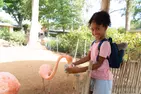 CityPASS- Save up to 40% on Admission to Top San Antonio Attractions