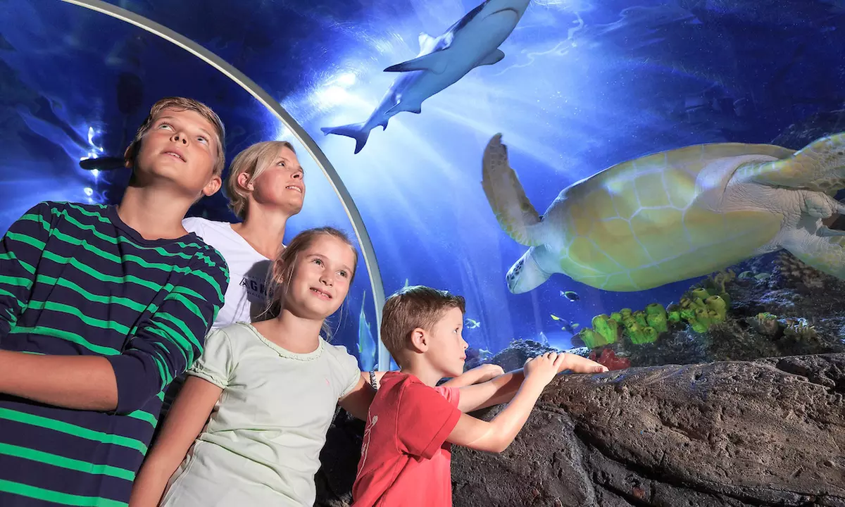 Eintrittskarte für SEA LIFE Timmendorfer Strand