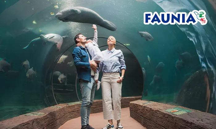 ¡Conoce el mundo animal! Entrada infantil, general o sénior a elegir para Faunia Madrid, ahorra hasta un 49%