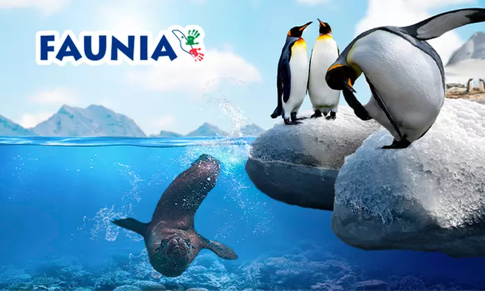 ¡Conoce el mundo animal! Entrada infantil, general o sénior a elegir para Faunia Madrid, ahorra hasta un 49%