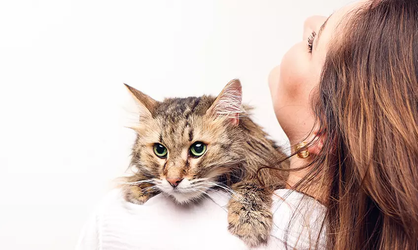 90 Min. Haustier Fotoshooting inkl. 2-5 Bildern + Geschenk