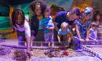 SPECIAL OFFER! SEA LIFE Charlotte Admission