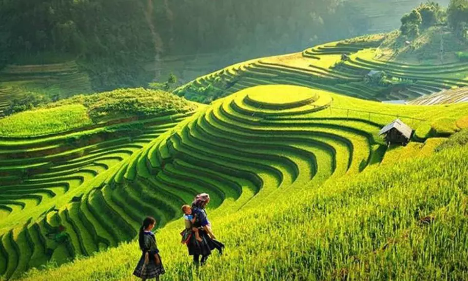 Discover Vietnam in 7 Days! Meals, Transfers & More from Just $599!