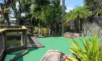 Mini-Golf Deals For One, Two, Three, or Four - Play Among Live Gators (Up To 50% Off)