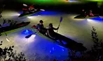 Glass Bottom Kayak LED Night Tour Deal - 75-Minute Fish Feeding Discount