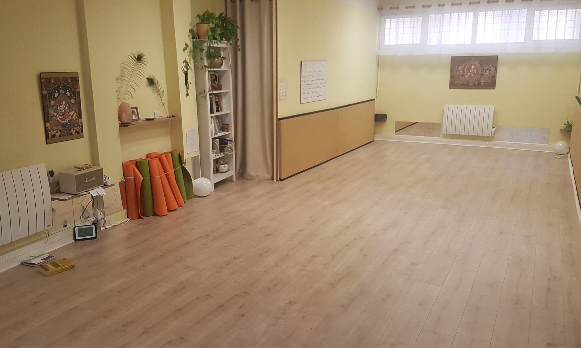 Yoga Hatha avec Au Rendezvous des Yogis