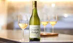 Splash Wines: Chardonnay Wine Collection - 6, 12, or 15 Bottles of Premium White Wine