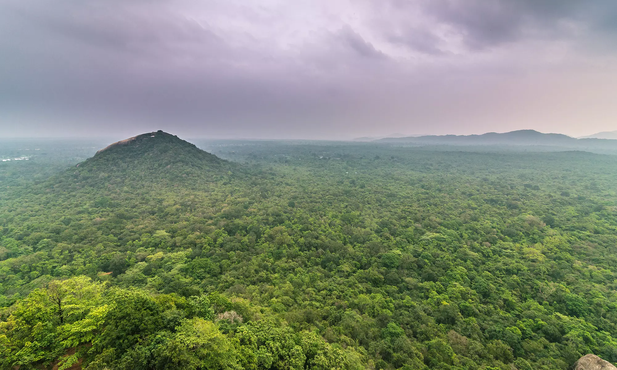 Discover Sri Lanka: 11-Day Private Tour with a Guide, Scenic Transfers