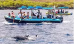Up to 20% Off on Snorkeling at Sea Quest Rafting and Snorkeling Adventures
