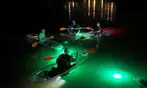 Glass Bottom Kayak LED Night Tour Deal - 75-Minute Fish Feeding Discount