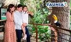 Entrada infantil, general o sénior a elegir para Faunia Madrid