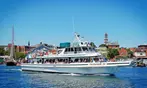 Whale Watching Adventure - Gloucester