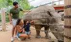 San Antonio Zoo Discount Tickets & Savings!