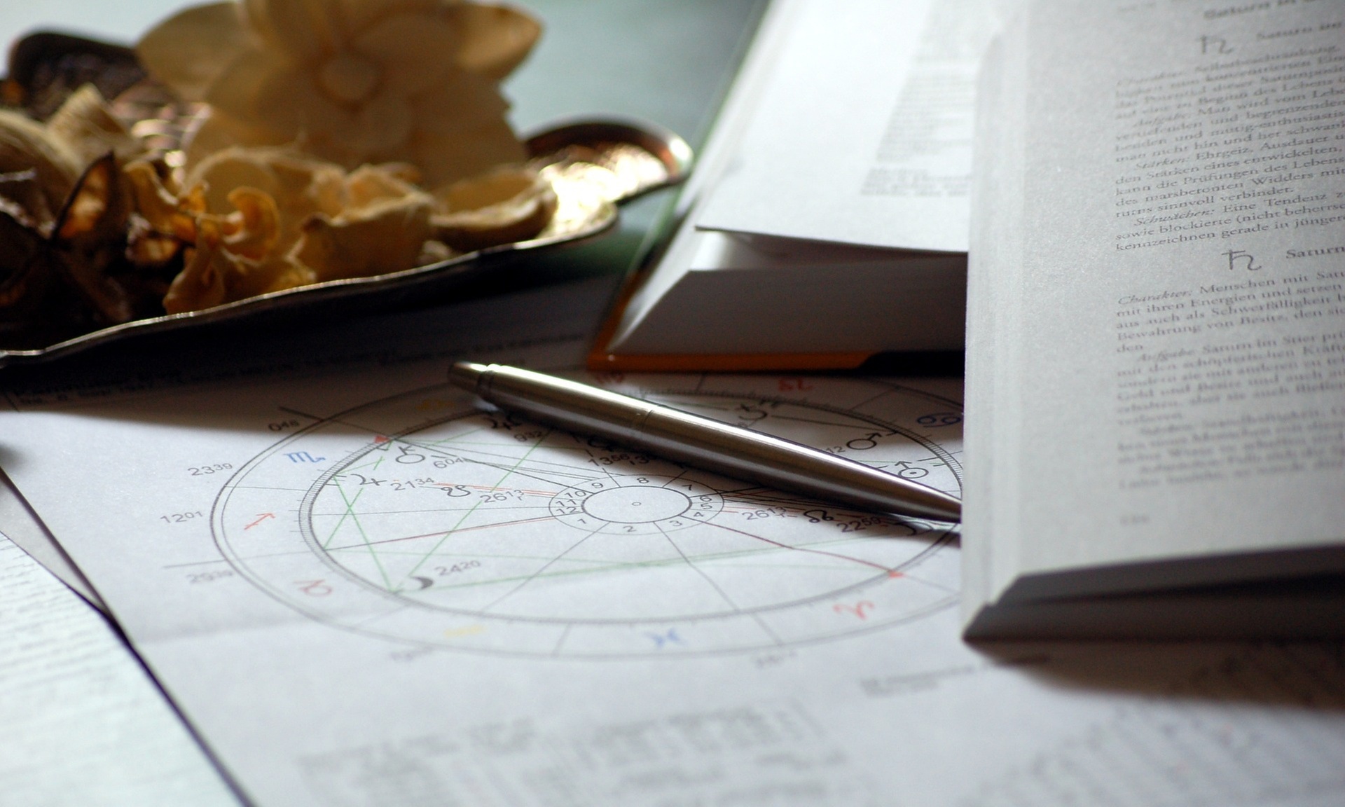 Bis zu 38% sparen auf Horoskop - Lebensberatung Bee