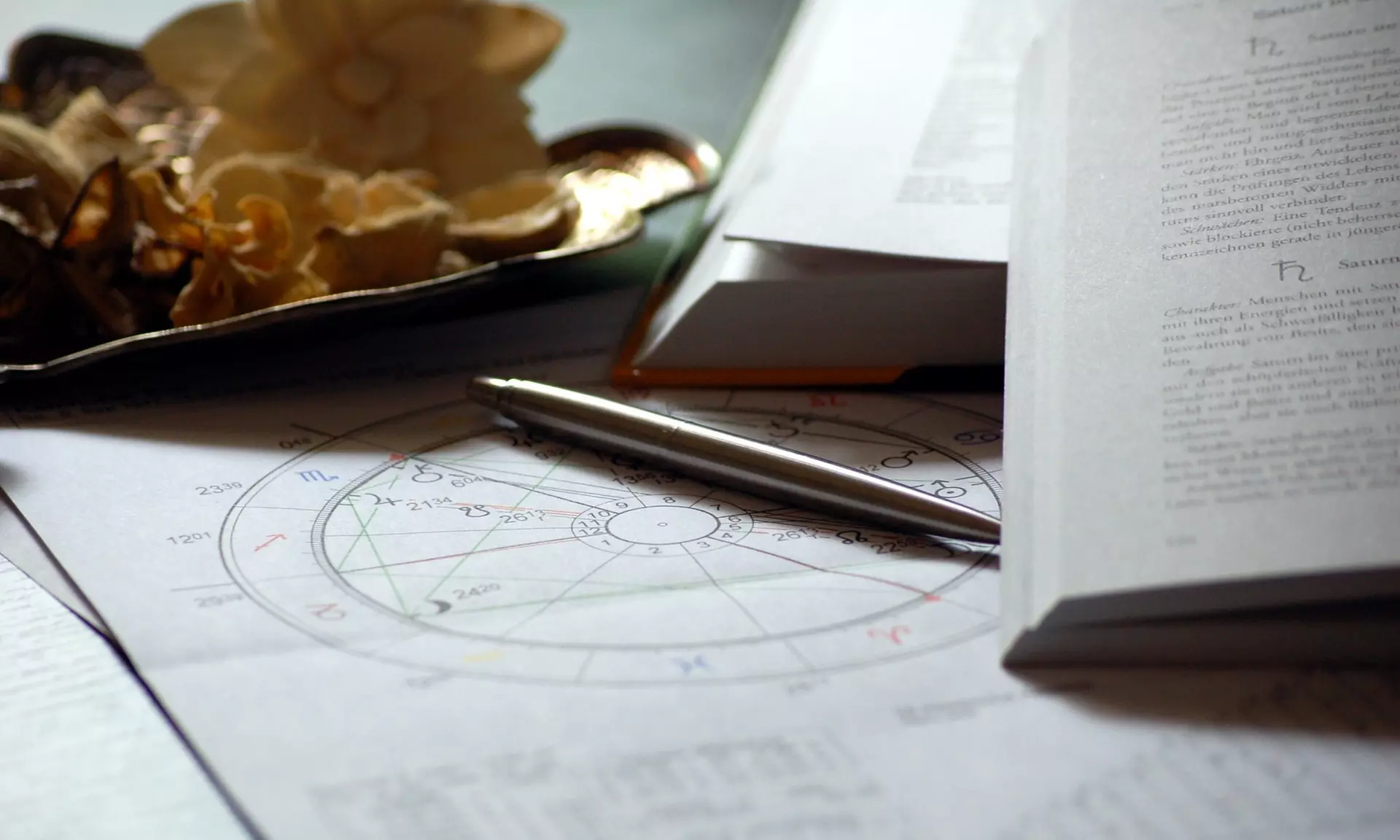 Bis zu 38% sparen auf Horoskop - Lebensberatung Bee