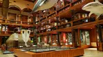 Tickets to Hawaiian Heritage Bishop Museum for Youths or Adults