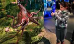 Seattle CityPASS Tickets - Save Up to 47% on Admission Deals