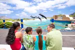 Save up to 50% on Amazing Oahu Attractions