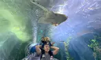 Aquarium of the Bay Ticket Deals & Discounts