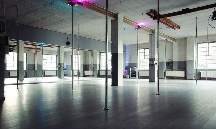 Poledance-Kurs