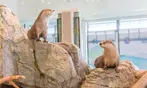 Aquarium of the Bay Ticket Deals & Discounts