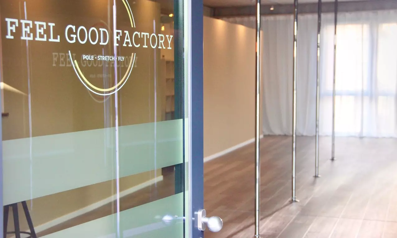 Pole Dance Probestunde in der Feel Good Factory