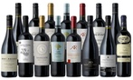 Splash Wines: 15-Bottle Top-Rated Cellar Red Wine Collection