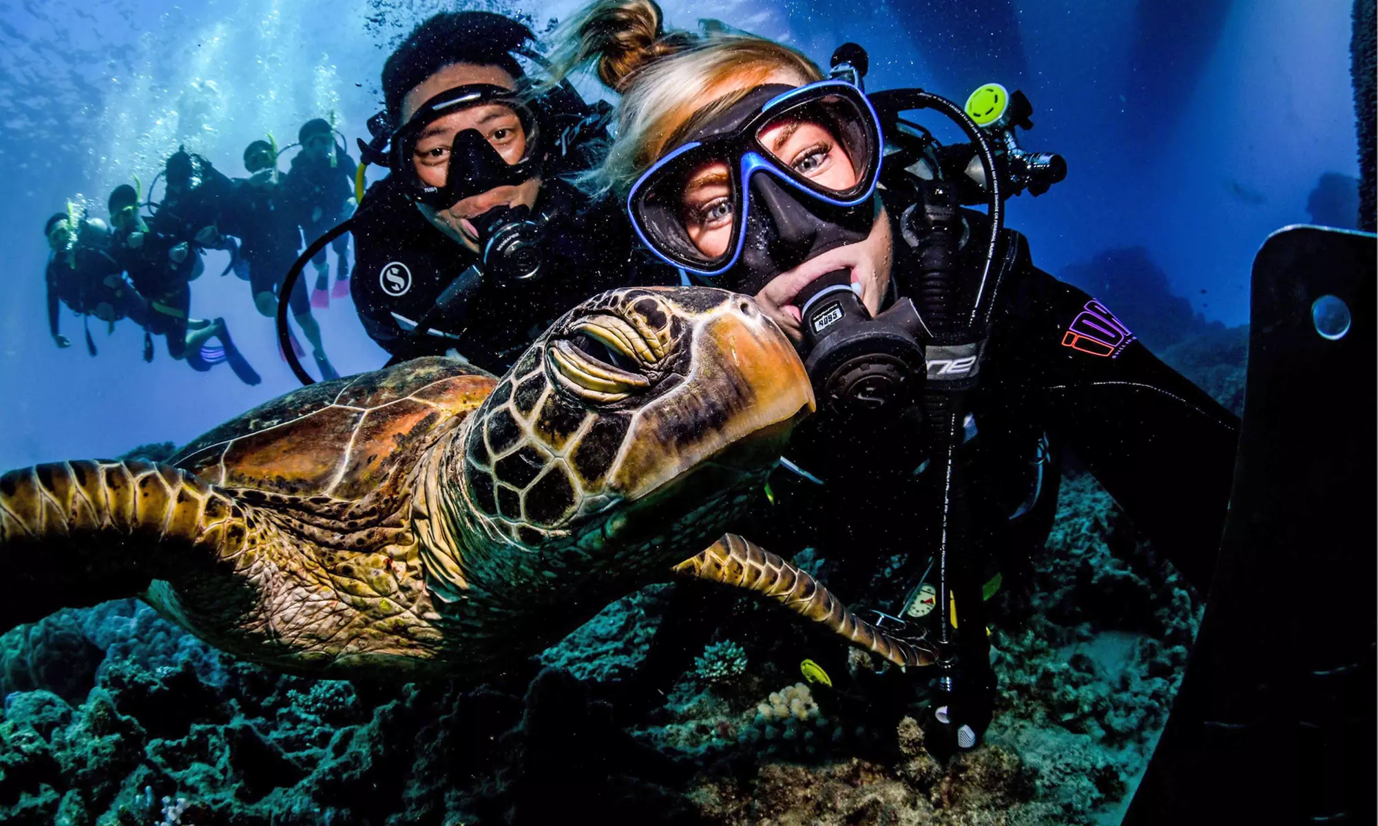 Cairns: One Child or One Adult for a Introductory SCUBA Dive