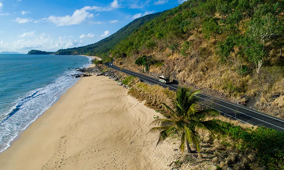 Daintree and Cape Tribulation: 1-Day 4WD Experience for Up to 4