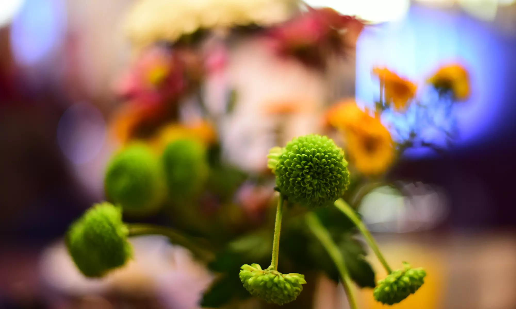 Grundlagen-Fotokurs für Einsteiger in kleiner Gruppe